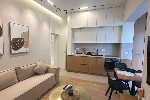 House for Rent 1+1 in Tirana - 700 Euro