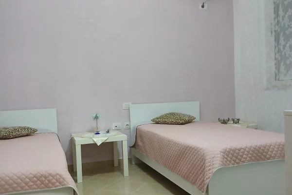 Shtepi me qera Apartament ne Tirane, 2+1, Mobilimi E mobiluar, Pagesa 520  Euro.