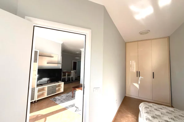 Shtepi me qera Apartament ne Tirane, 2+1, Mobilimi E mobiluar, Pagesa 800  Euro.