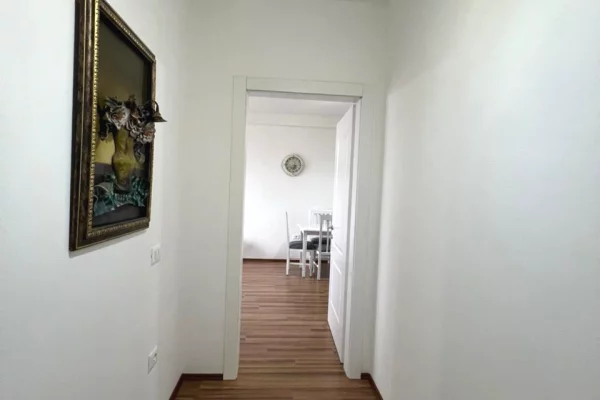 Shtepi ne shitje Apartament ne Tirane, 1+1, Mobilimi E mobiluar, Pagesa 110,000  Euro.