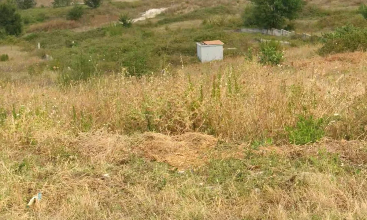 🌿 SHITET | TOKE 6.600 m2 | Prane Autostrades Tirane–Durres