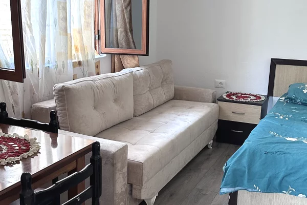 Shtepi me qera Shtepi Private ne Tirane, 1+1, Mobilimi E mobiluar, Pagesa 460  Leke.