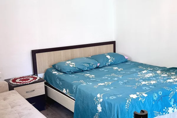 Shtepi me qera Shtepi Private ne Tirane, 1+1, Mobilimi E mobiluar, Pagesa 450  Leke.