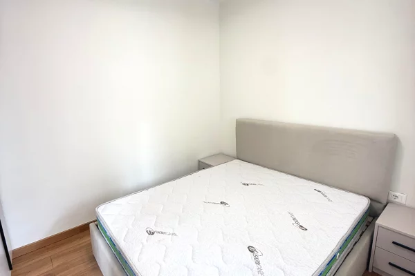 Shtepi me qera Apartament ne Tirane, 1+1, Mobilimi E mobiluar, Pagesa 600  Euro.