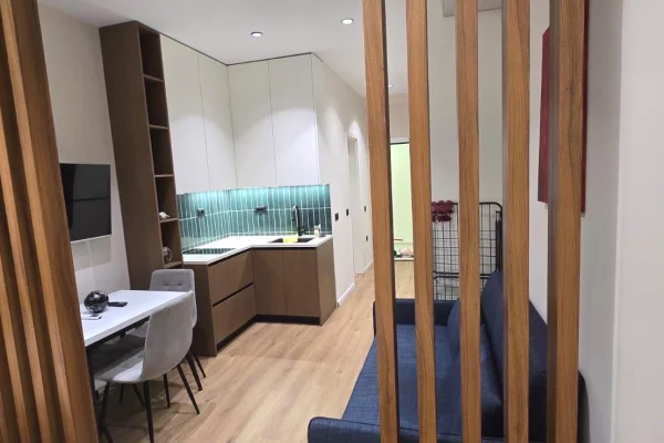Apartment for rent in Tirana Garsoniere, Furnished