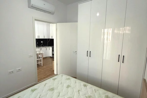 Apartment for rent in Tirana 1+1, Furnished