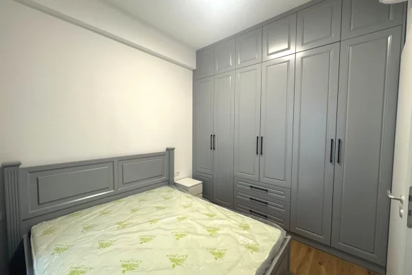 Appartamento in affitto a Tirana 1+1, Arredato