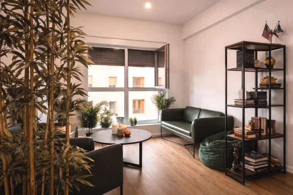 Shtepi me qera Apartament ne Tirane, 1+1, Mobilimi E mobiluar, Pagesa 43,000  Leke.