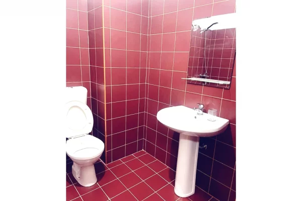 Apartment for rent in Tirana 1+1, Furnished