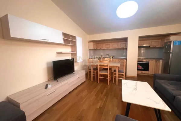 Shtepi me qera Apartament ne Tirane, 2+1, Mobilimi E mobiluar, Pagesa 650  Euro.
