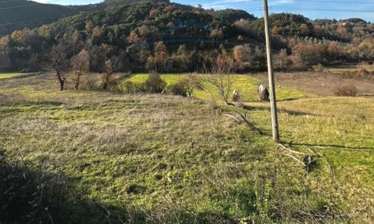 Toke per shitje , Lanabregas , Dajt