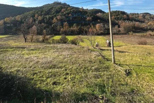 Truall ose Toke ne Tirane - 1,400,000 Euro