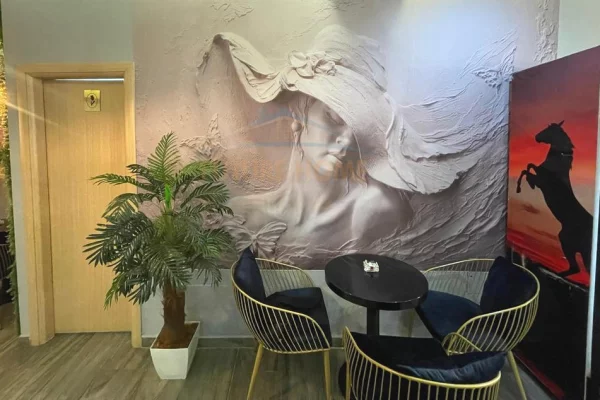 Shitet, Ambient Biznesi, Bar-Kafe, Rruga Hysen Gjura, Porcelan, Tirane