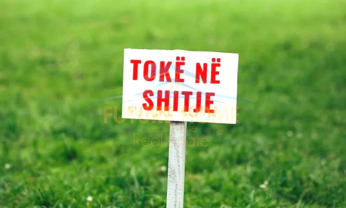Shitet, Toke, Autostrada Tirane-Elbasan