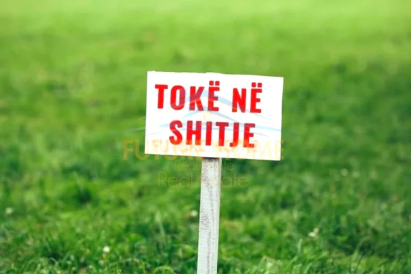 Shitet, Toke, Autostrada Tirane-Elbasan