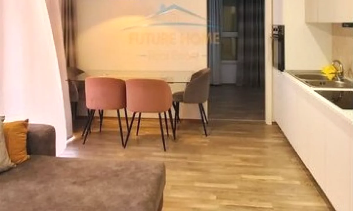 Shtepi me qera Apartament ne Tirane, 1+1, Mobilimi E mobiluar, Pagesa 450  Euro.
