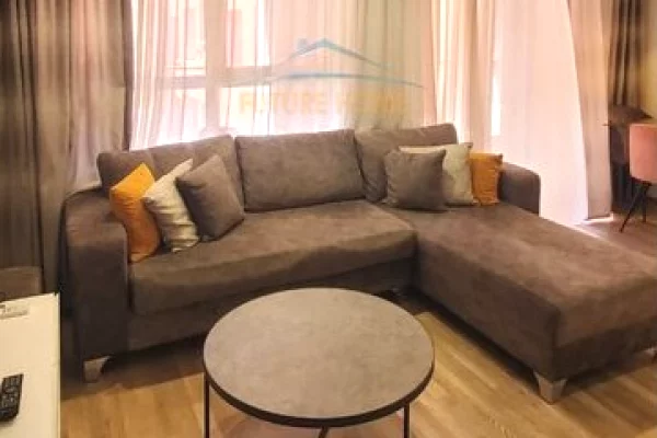 Shtepi me qera Apartament ne Tirane, 1+1, Mobilimi E mobiluar, Pagesa 450  Euro.