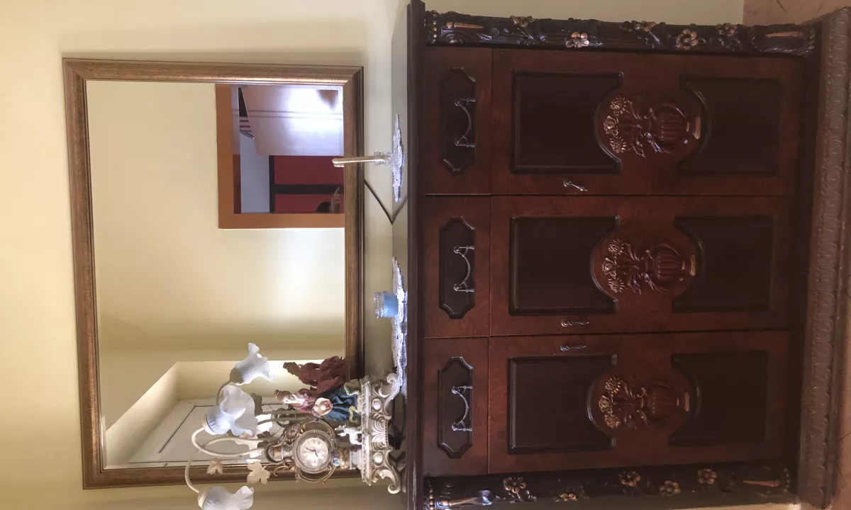 Shiten per arsyje emigrimi, jane ne gjendje te mire.