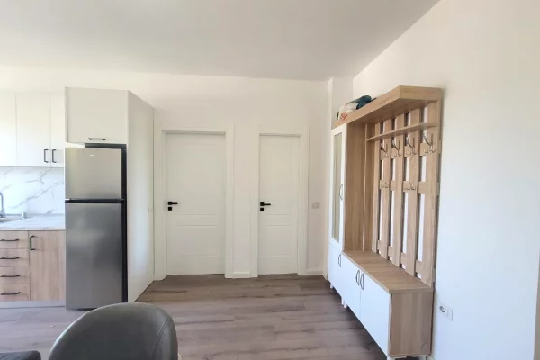 Shtepi ne shitje Apartament ne Tirane, 1+1, Mobilimi E mobiluar, Pagesa 115,000  Euro.