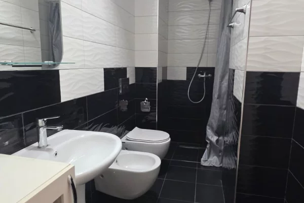 Shtepi me qera Apartament ne Tirane, 1+1, Mobilimi E mobiluar, Pagesa 60,000  Leke.