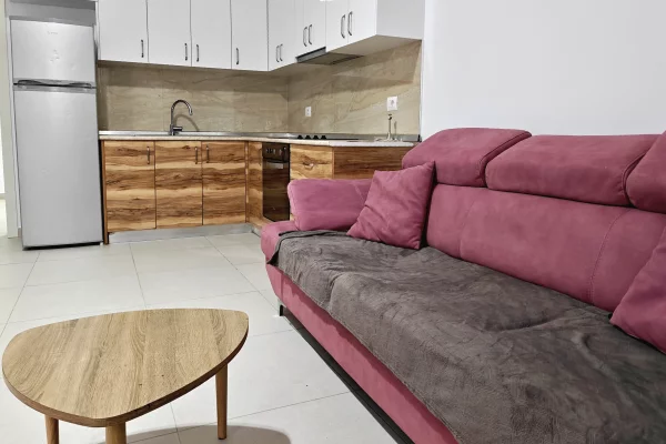Jepet me Qira Apartment 1+1 i mobiluar ne Allias