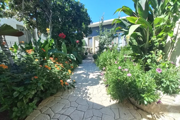 Shtepi me qera 1+1 ne Vlore - 25,000 Leke