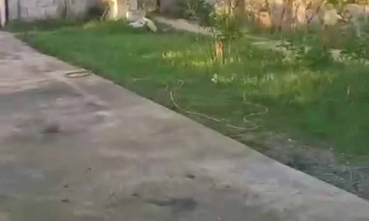 Shtepi me qera Shtepi Private ne Tirane, 1+1, Mobilimi Bosh, pa mobiluar, Pagesa 25,000  Leke.