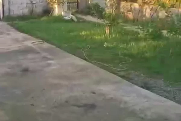 Shtepi me qera 1+1 ne Tirane - 25,000 Leke