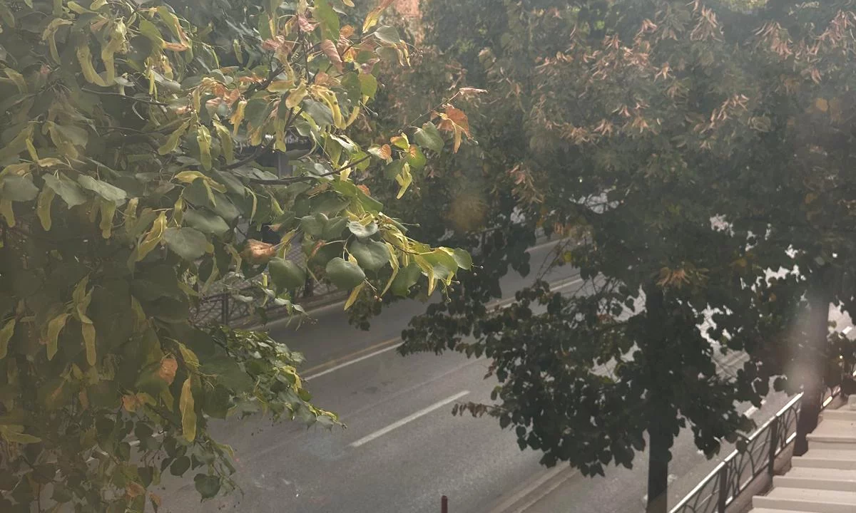 Shtepi ne shitje Apartament ne Tirane, 1+1, Mobilimi E mobiluar, Pagesa 185,000  Euro.