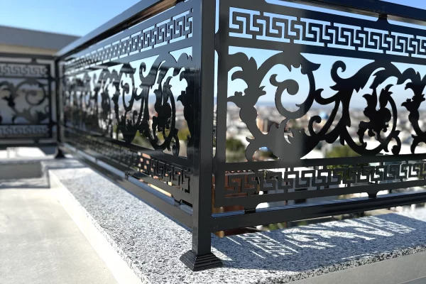 Sherbime Profesionale ne Tirane - 110 Euro