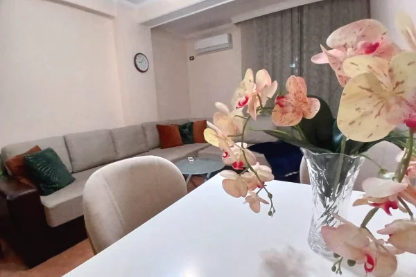 Shtepi me qera Apartament ne Tirane, 1+1, Mobilimi E mobiluar, Pagesa 50,000  Leke.