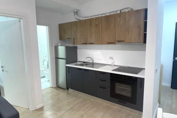 Shtepi me qera Apartament ne Tirane, 1+1, Mobilimi E mobiluar, Pagesa 500  Euro.