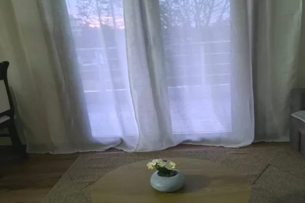 Shtepi me qera Apartament ne Tirane, 1+1, Mobilimi E mobiluar, Pagesa 430,000  Leke.