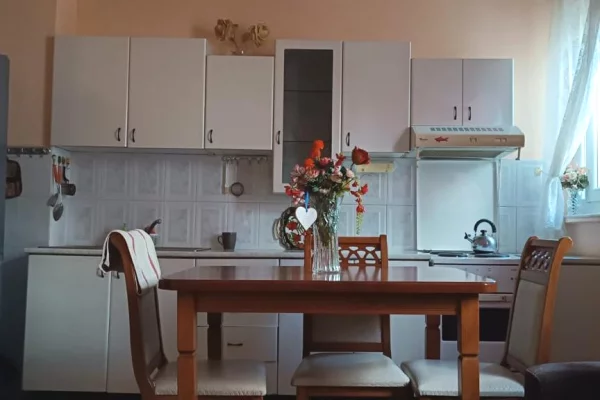 Shtepi me qera Apartament ne Tirane, 2+1, Mobilimi E mobiluar, Pagesa 500  Euro.