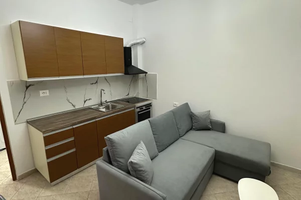 Shtepi me qera Apartament ne Tirane, 1+1, Mobilimi E mobiluar, Pagesa 45,000  Leke.