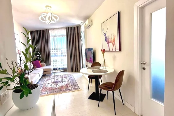 Shtepi ne shitje Apartament ne Tirane, 1+1, Mobilimi E mobiluar, Pagesa 130,000  Euro.