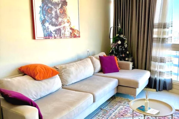 Shtepi ne shitje Apartament ne Tirane, 1+1, Mobilimi E mobiluar, Pagesa 130,000  Euro.