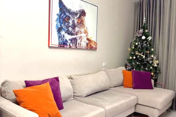 Shtepi ne shitje Apartament ne Tirane, 1+1, Mobilimi E mobiluar, Pagesa 130,000  Euro.