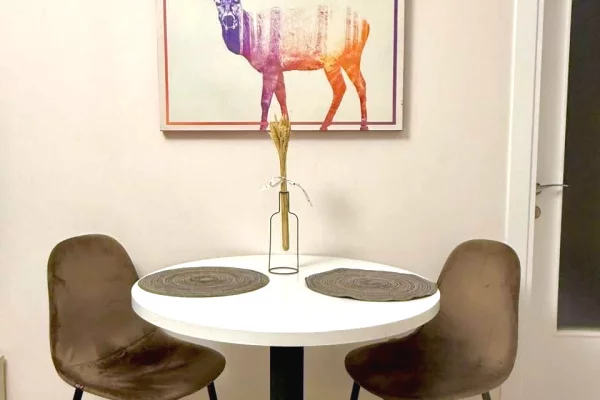 Shtepi ne shitje Apartament ne Tirane, 1+1, Mobilimi E mobiluar, Pagesa 130,000  Euro.