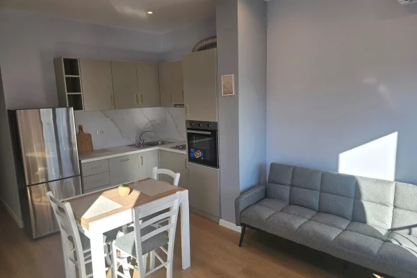 Shtepi me qera Apartament ne Tirane, 1+1, Mobilimi E mobiluar, Pagesa 65,000  Leke.