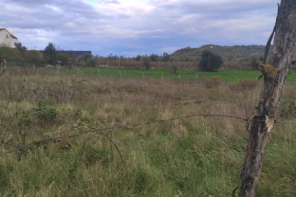 Toke ne shitje – Katund i Ri, Kashar