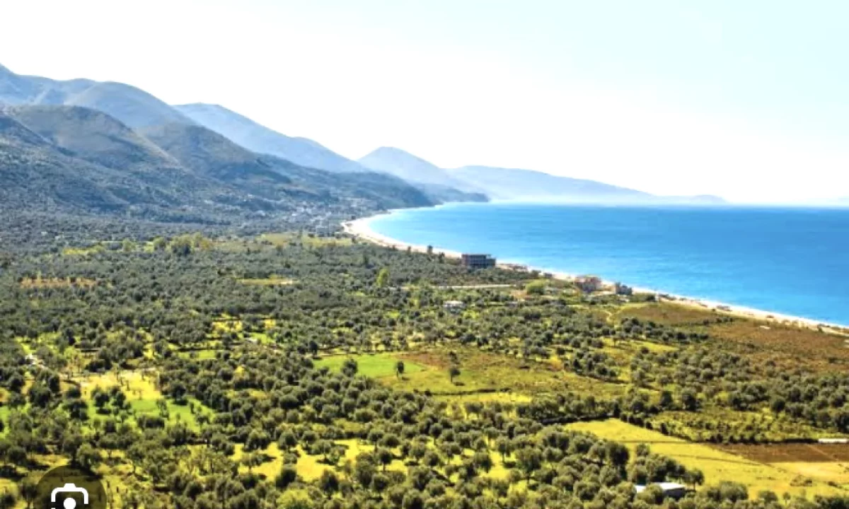 Shitet toke ne Borsh, 800m larg detit