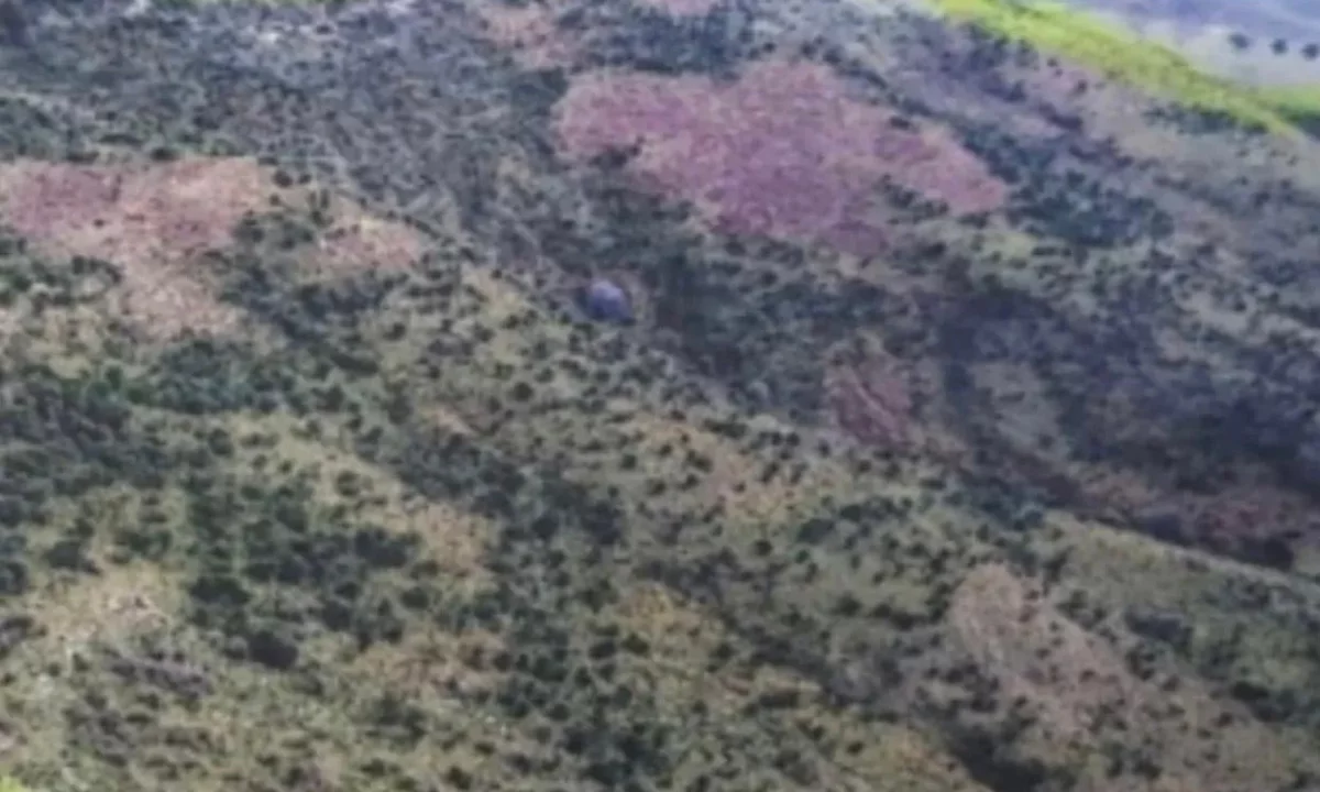 Shitet toke per panele diellore(kullote)