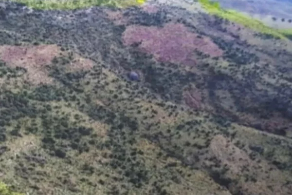 Truall ose Toke ne Sarande - 1,890,000 Euro