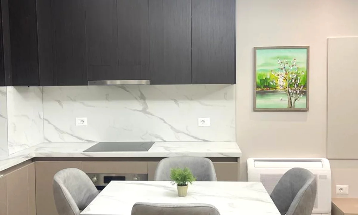 Shtepi me qera Apartament ne Tirane, 1+1, Mobilimi E mobiluar, Pagesa 850  Euro.