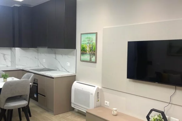 Shtepi me qera Apartament ne Tirane, 1+1, Mobilimi E mobiluar, Pagesa 850  Euro.