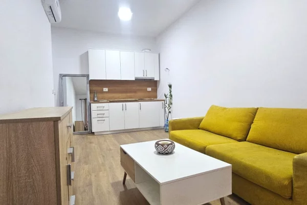 House for Rent 1+1 in Tirana - 550 Euro