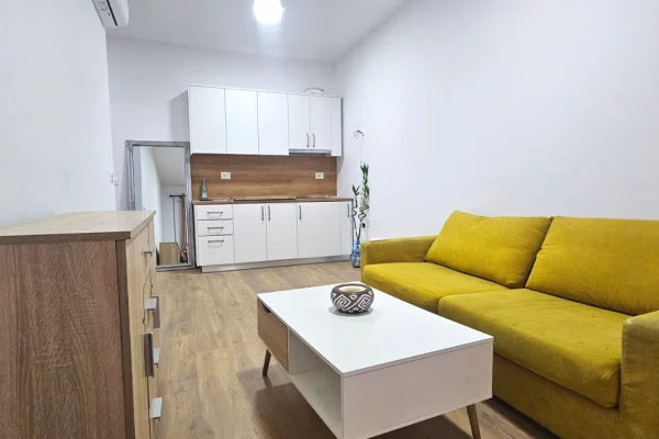 Shtepi me qera Apartament ne Tirane, 1+1, Mobilimi E mobiluar, Pagesa 550  Euro.