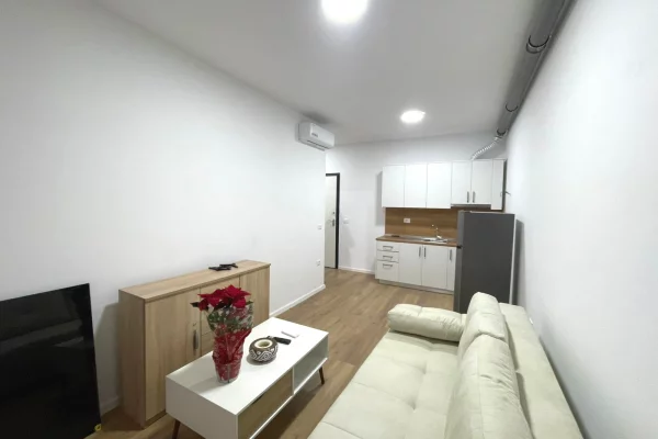 Shtepi me qera Apartament ne Tirane, 1+1, Mobilimi E mobiluar, Pagesa 55,000  Leke.