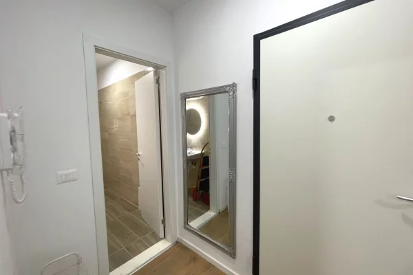 Shtepi me qera Apartament ne Tirane, 1+1, Mobilimi E mobiluar, Pagesa 55,000  Leke.